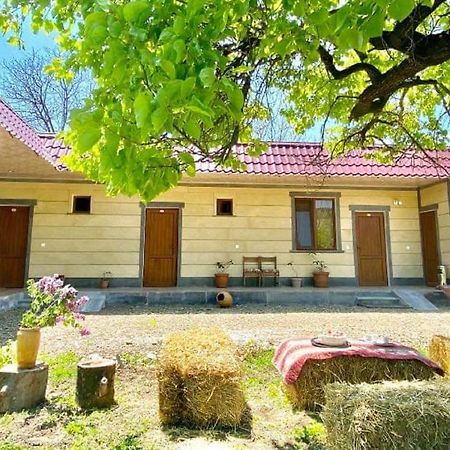 Aghasu Tun B&B Odzun エクステリア 写真
