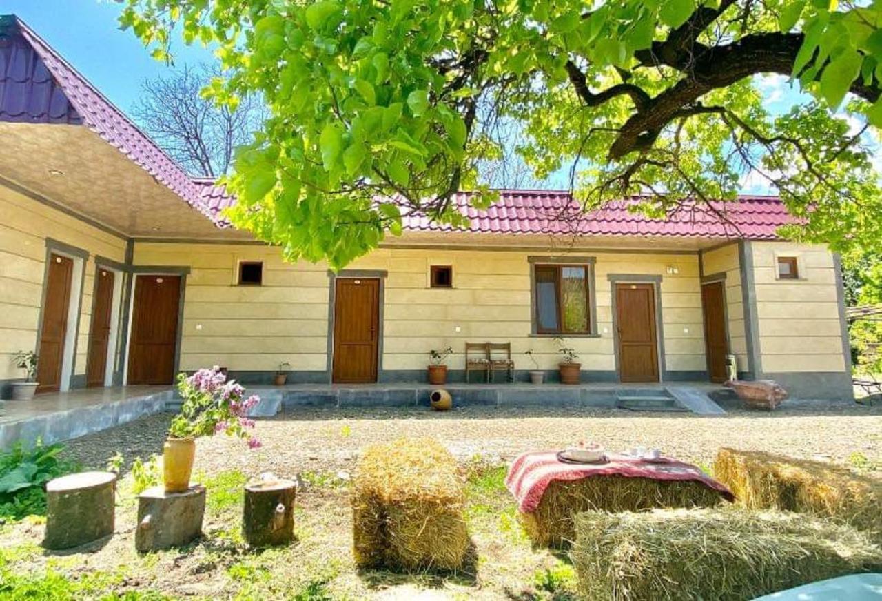 Aghasu Tun B&B Odzun エクステリア 写真