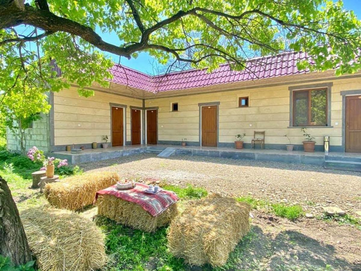 Aghasu Tun B&B Odzun エクステリア 写真